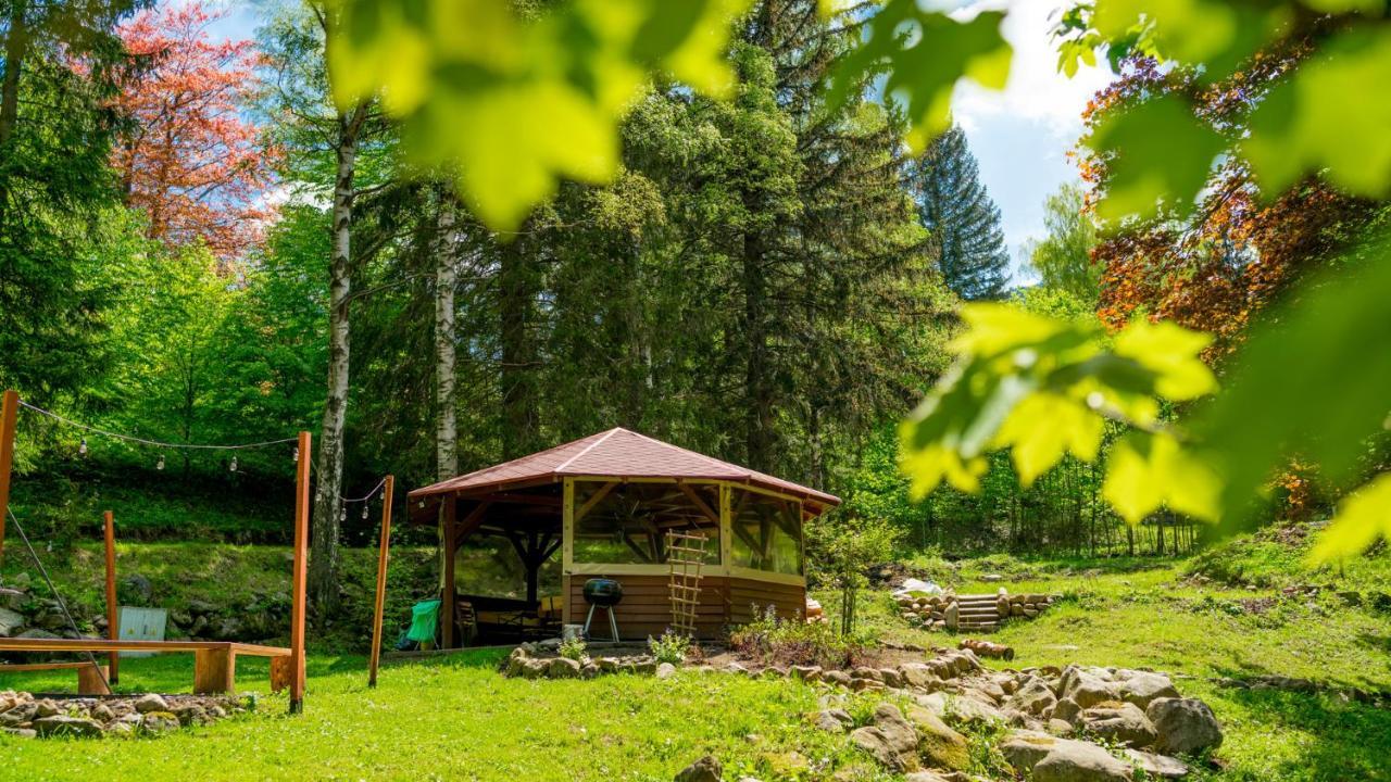 Wilczy Wodospad Karpacz Buitenkant foto